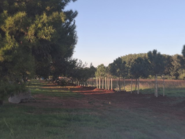 Da ti se zavrti u glavi od umaških kružnih tokova i novih u planu